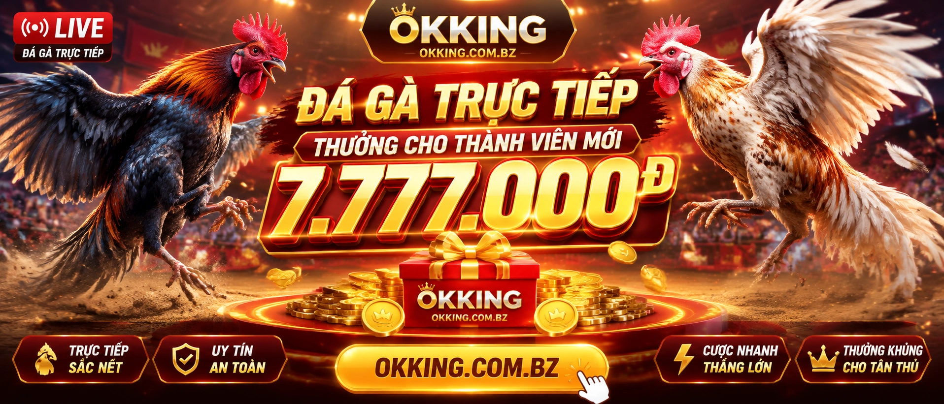 Phòng đá và lịch trận